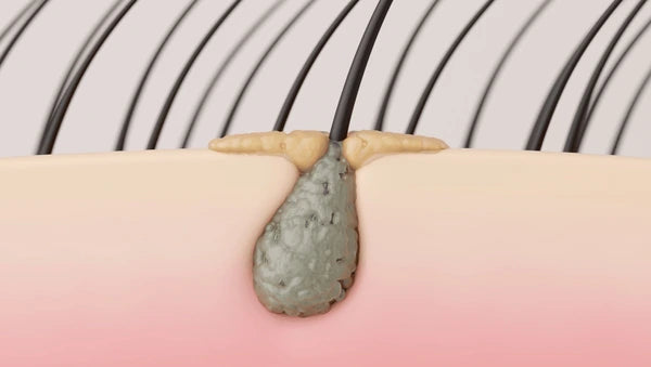 The Truth No One Told Me: My Scalp Was Reacting to a Wound That Didn’t Exist